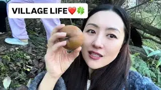 Village vlog❤️🍀| Fruits Harvesting With My Siblings🍐🍎🍑🍊| Arunachal Pradesh 🇮🇳| Northeast India 