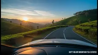 Conquering the Twisted Roads of the Nilgiris Mountains
