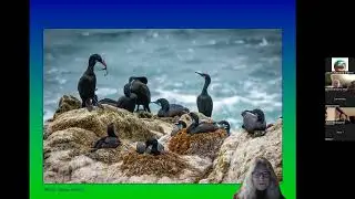 2024.03.04 Seabird Monitoring Volunteer Training