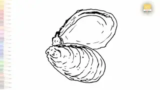 Sea Oyster drawing easy | Art tutorial | How to draw A Oyster shell step by step | #artjanag