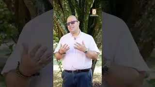 CAPSULA 1 &iquest;Qu&eacute; es El Bloque de Constitucionalidad?