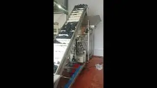 Convoyeur de raisins