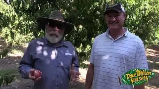Zaiger Genetics Fruit Tour