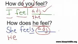Chapter 4 - How do you feel?