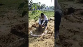 #TreePlantation #PlantATree #ClimateActions #OneTreeAtATime #GreenerTomorrow #RestoreOurEarth