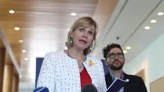 Warringah in the Liberal Party's sights