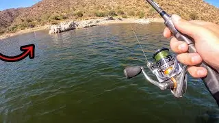 Fishing for Summer Bass at a Desert Lake!