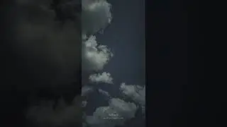 الأربعون النووية  المجلس ١٧