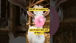 Bakra Eid  8 #shortsfeed #comedy #entertainment #fun #funny #1storytube #shorts