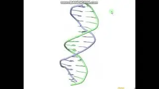 Understanding DNA Structure:1 Introduction & Chemical Structure