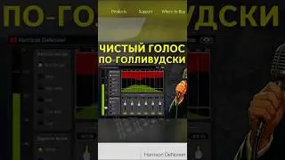ЧИСТЫЙ ГОЛЛИВУДСКИЙ ГОЛОС? ОБЗОР ПЛАГИНА HARRISON DENOISER