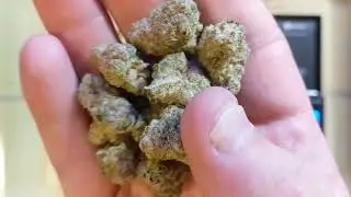 Supernova 19% Trulieve Eustis