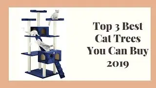 Top 3 Best Cat Trees You Can Buy 2019
