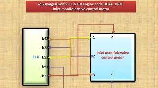 Volkswagen Golf VII 1.6 TDI - diagnosis inlet manifold valve control motor