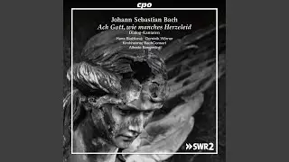 Liebster Jesu, mein Verlangen, BWV 32: Hier in meines Vaters St&auml;tte