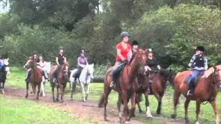 Warwick Riding