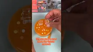 We created a new slime for future restock. #slimes #jellyslime #slimevideo