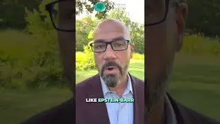При реактивации вируса Эпштейна-Барр проверьте надпочечники!