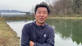 Suda Koi Farm | Interview with Mr. Suda about their koi specialties