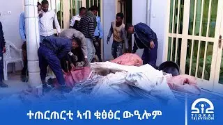 ኣብ ክፍለ ከተማ ሓወልቲ ብስርቅን ዕንወት መሰረተ ልምዓትን ዝተጠርጠሩ ውልቀ ሰባት ኣብ ቁፅፅር ሕጊ ውዒሎም፡- ፖሊስ