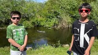 Everglades National Park Shark Valley
