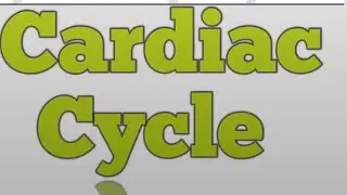 Cardiac Cycle how to work in simple language.....