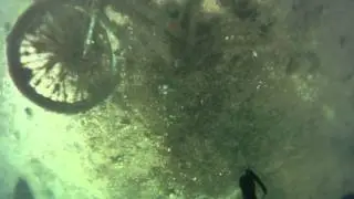 abandoned bike in west palm
