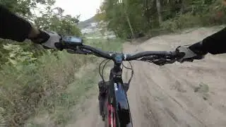 Freedom Flyer - HorseShoe