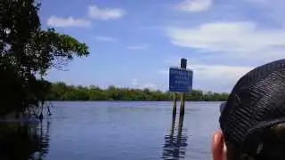 Kayaking at Commodore Creek Trail (Sanibel Island, FL)