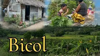 PROVINCE LIFE | Living simply in Bicol