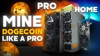 Майните DOGECOIN как профессионал у себя дома! Goldshell Mini Doge III