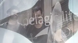 TBLACK x AUDIOFLY x PELAGICLIFE
