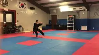 Jow Ga &ldquo;Small Tiger&rdquo; form