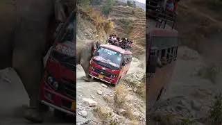 Viral AI Jungle Scene: Elephant Pushes Bus Over the Edge
