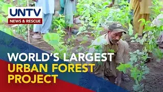Pakistan inaugurated the world's largest urban forest project