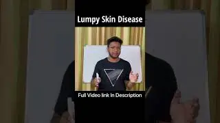 Lumpy Skin Disease - LSD