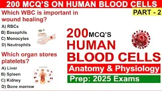 Human Blood Cells Mcqs 2025 | Part 2 | Blood Cells in Human Body | Blood related question answers