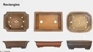 GSBF Golden Zoom Presents Jonas Dupuich discussing Bonsai Pot Selection