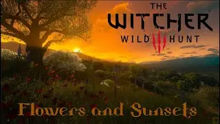 The Witcher 3 - Toussaint. Flowers and sunsets - Ambient sounds + background music. Part 1