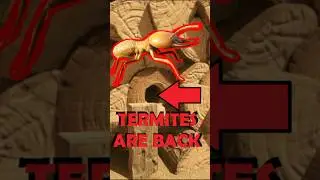 POST PATCH HOW TO GET OUT SIDE THE MAP NEW OUT OF BOUNDS GLITCH DISCORVED #glitch #shorts #grounded2