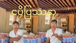 ပွဲဆူနေတဲ့ ငပိပြဿနာ