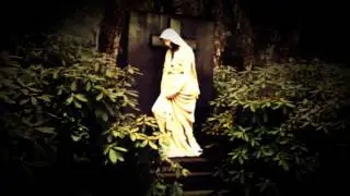 Angst Pop &Oslash;dipus Rex (Promo Video)