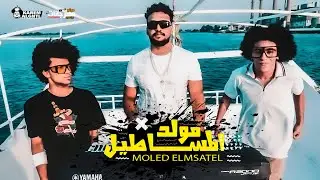 كليب مولد المساطيل -  اندرو الحاوى - هيخلي الكراسي ترقص و هيرقص مصر كلها 2020