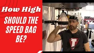 Height of the speed bag