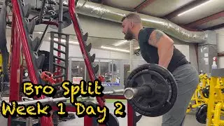 The Bro Split Week 1 Day 2 | Back And Forearms | Gym Vlog #24