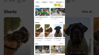 Support me 🙏🙏🙏 😔🥺 #ytshorts #ytshort #yt #viralvideo #shorts #rahulpets #trend