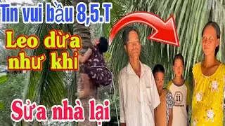 Bất ngờ chị Huyền 33 tuổi bụng bầu 8,5 tháng vẫn leo dừa,và được sửa nhà lại#kyla 