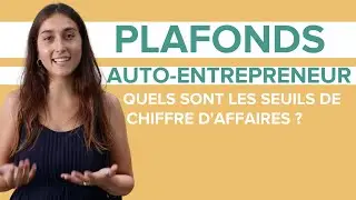 Plafonds auto entrepreneur 2022 :  les seuils de chiffre d'affaires &agrave; ne pas d&eacute;passer !