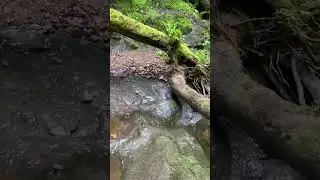 THE HIDDEN WATERFALL! 🏴󠁧󠁢󠁳󠁣󠁴󠁿🏴󠁧󠁢󠁳󠁣󠁴󠁿#hiddenscotland #scotland #foryoupage