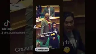 Lawmakers use haka dance to protest in parliment , new zealand. #newzealand​ #news​